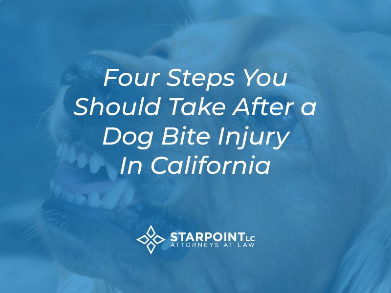 steps to reporting dog bite california