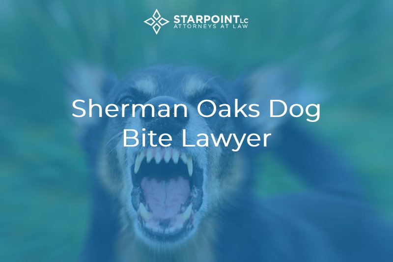 sherman oaks dog bite lawyer