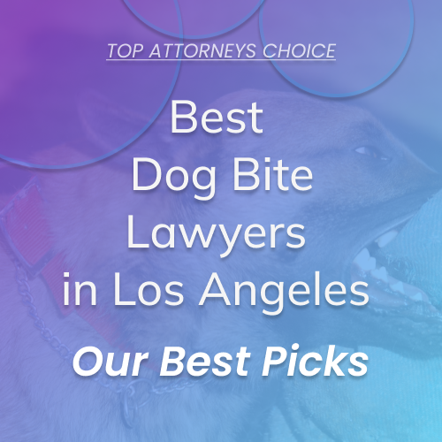 Best Los Angeles Dog Bite Attorneys Los Angeles